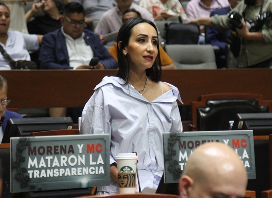 claudia murguía diputada del pan