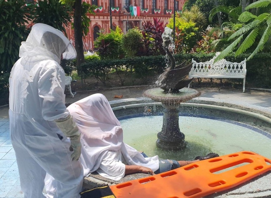 ataque abejas colima