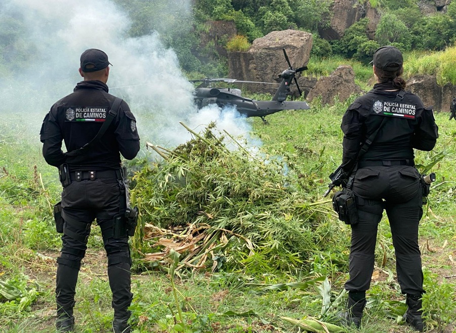 marihuana en hostotipaquillo