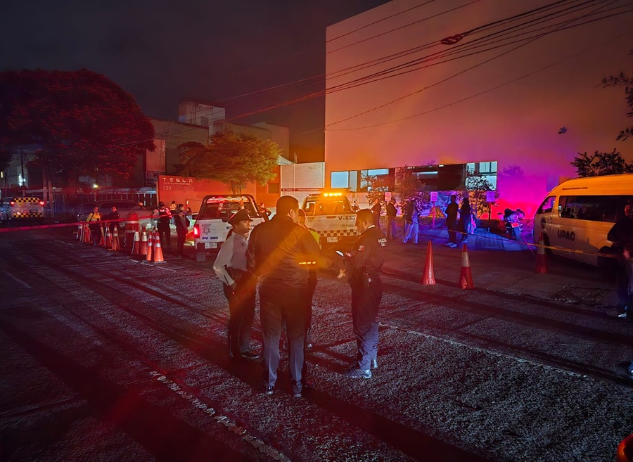 torito atropellado en zapopan