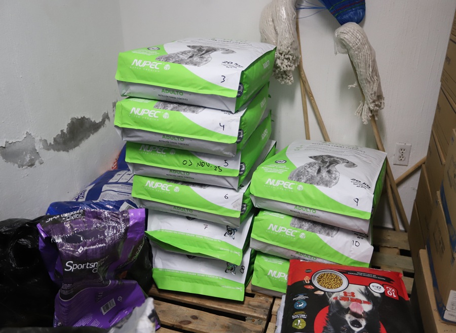 croquetas por maltrato animal