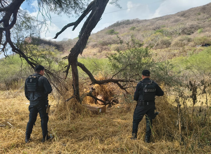 hallan armas techaluta