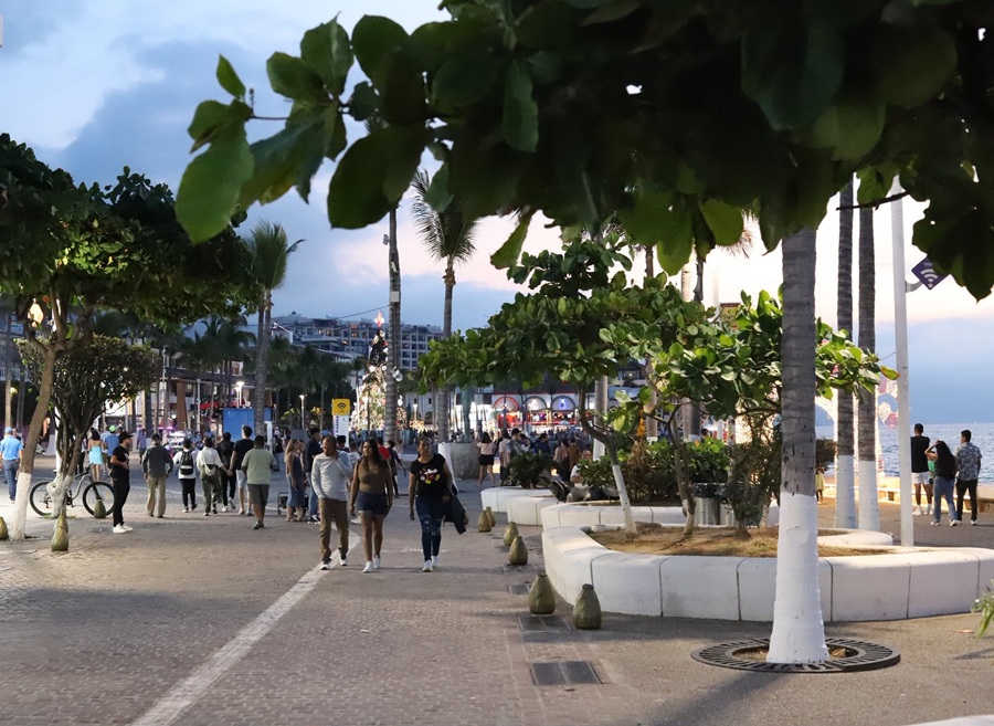 protección civil puerto vallarta