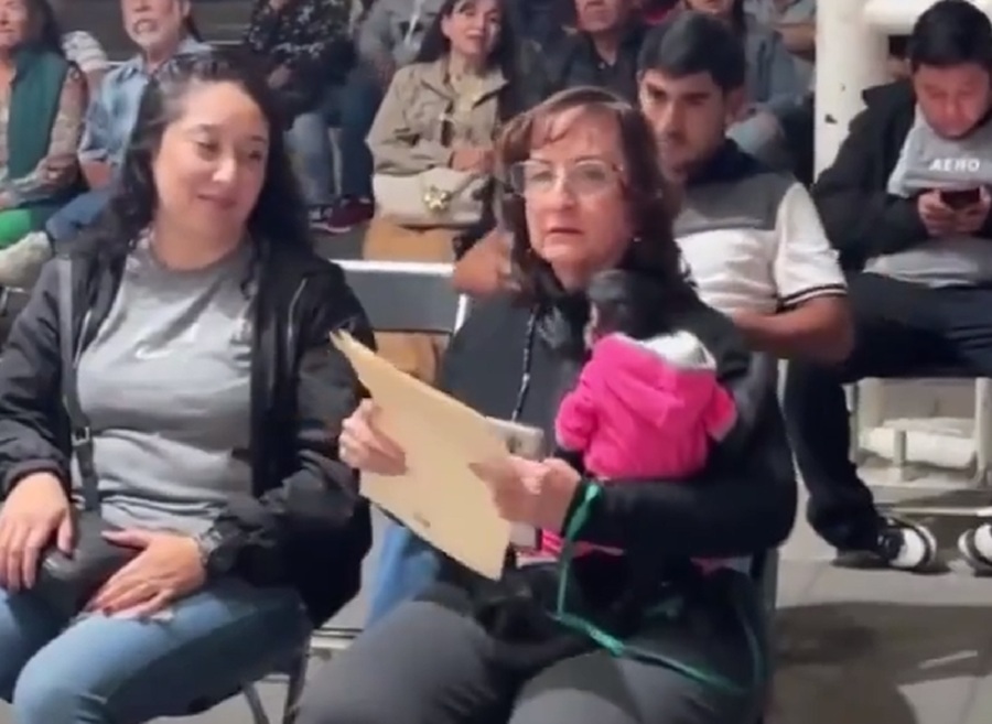 regidora de Ocotlán cachetea a mono araña