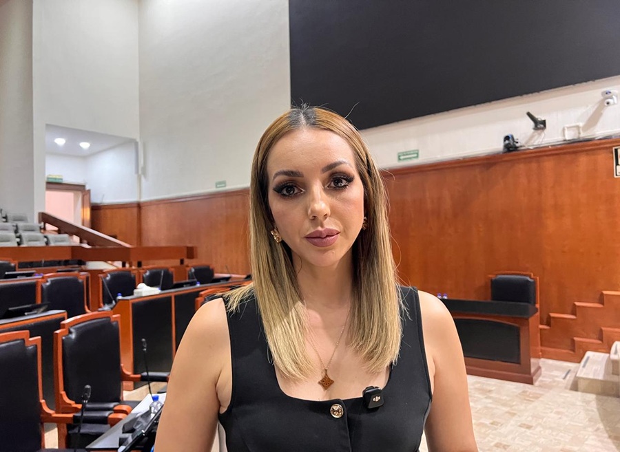 yussara canales, diputada del partido verde