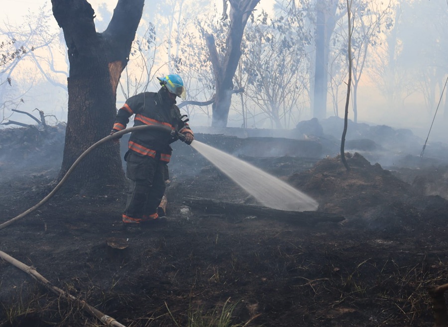 incendio bosque el centinela en zapopan