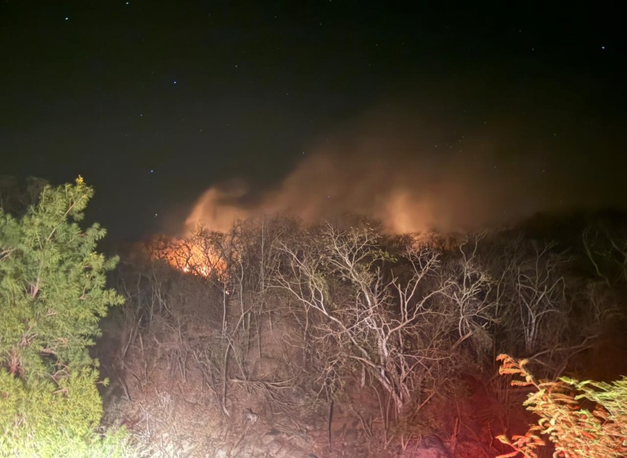 incendio forestal en cabo corrientes