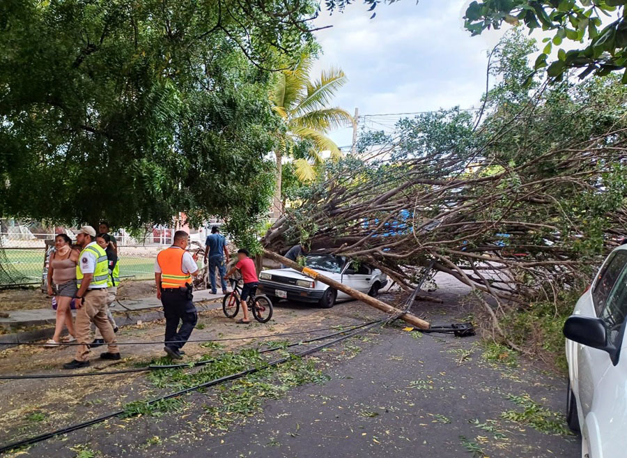 lluvia causa daños en colima