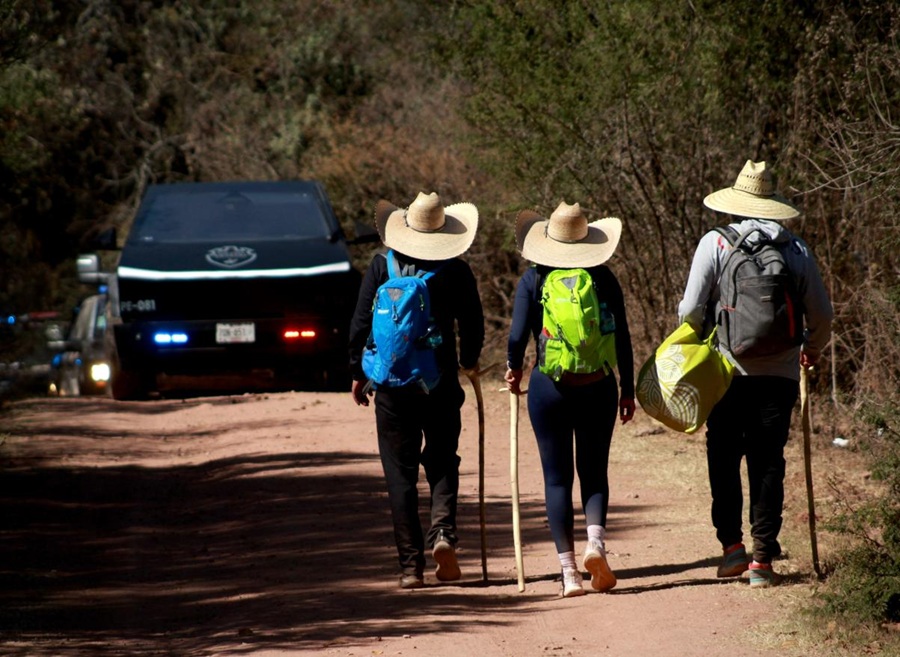 peregrinos talpa de allende