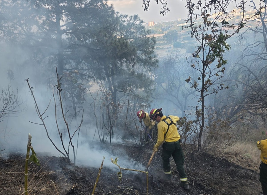 incendio bosque la primavera