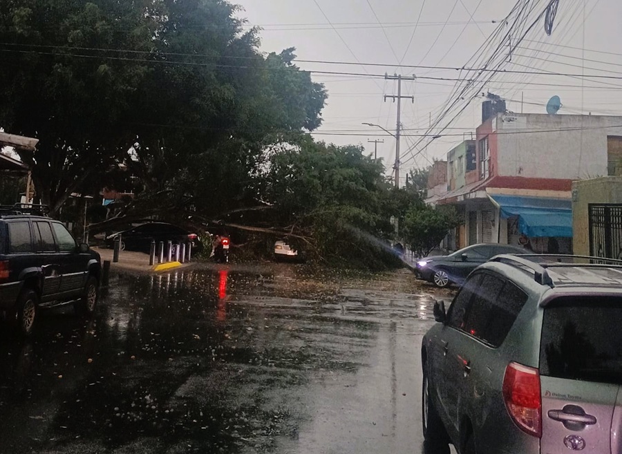 autos afectados lluvia guadalajara