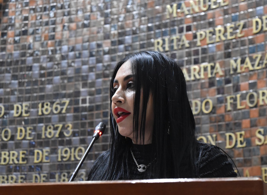 Brenda Carrera, diputada del Partido Verde