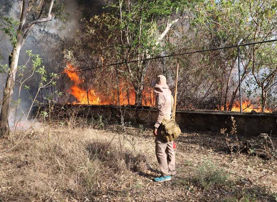 incendio en bosque Colomos