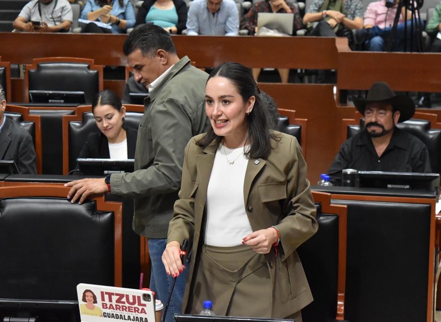 itzul barrera, diputada de morena
