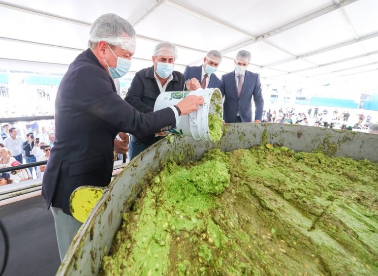 guacamole más grande del mundo récord guinness