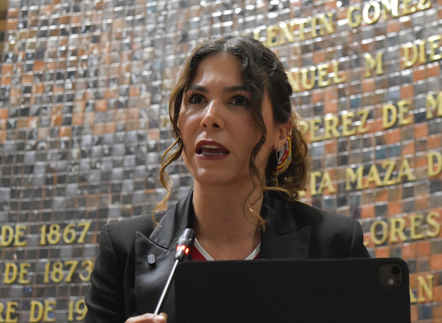 mónica magaña diputada de mc
