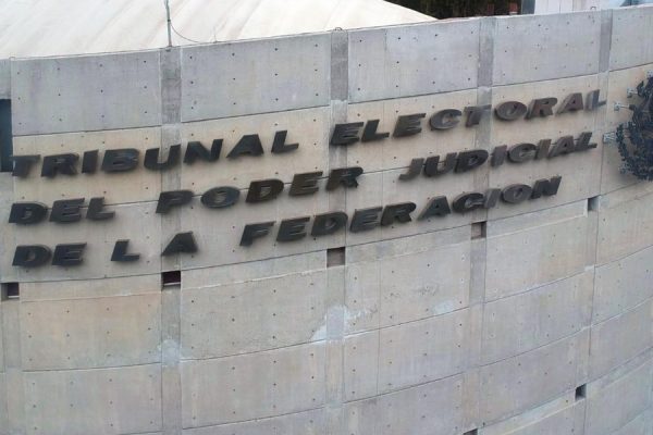 tribunal electoral federal