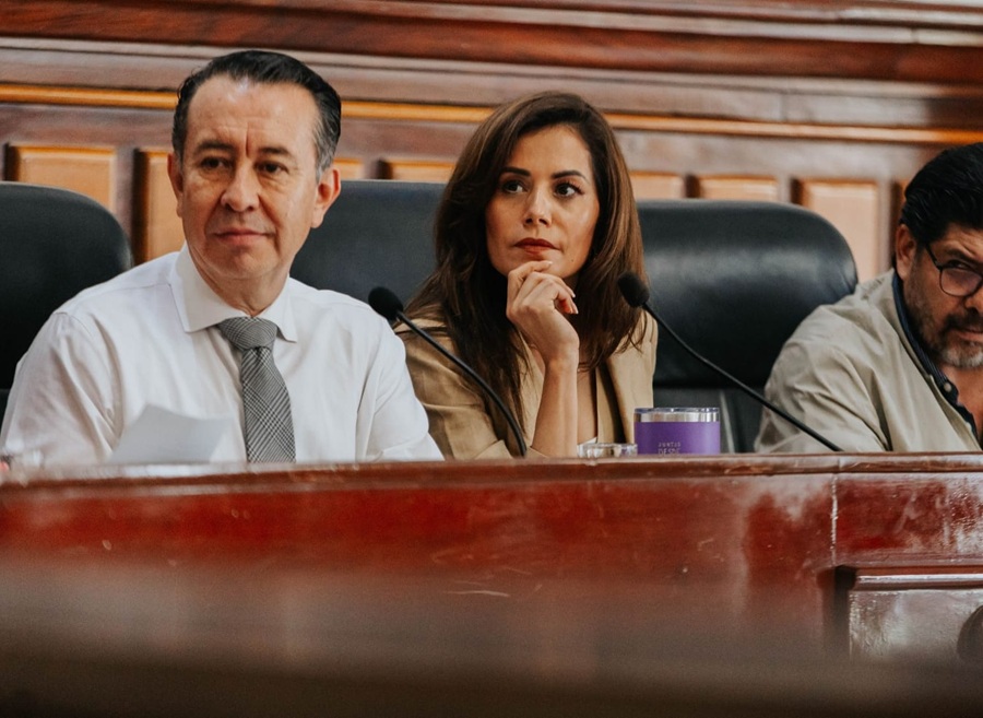verónica delgadillo sesión de cabildo guadalajara