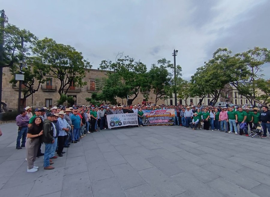 Alzan la voz agaveros ante crisis en Jalisco y Guanajuato