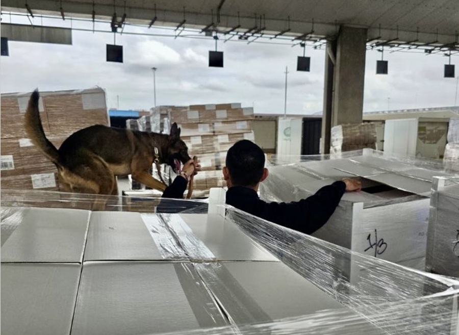 hallan droga en aduana de tijuana