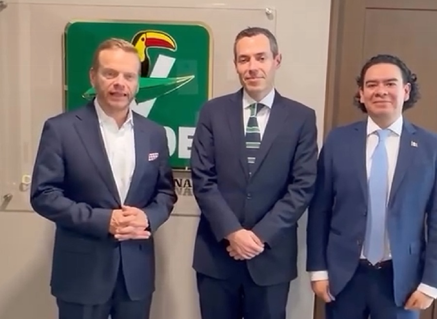 partido verde