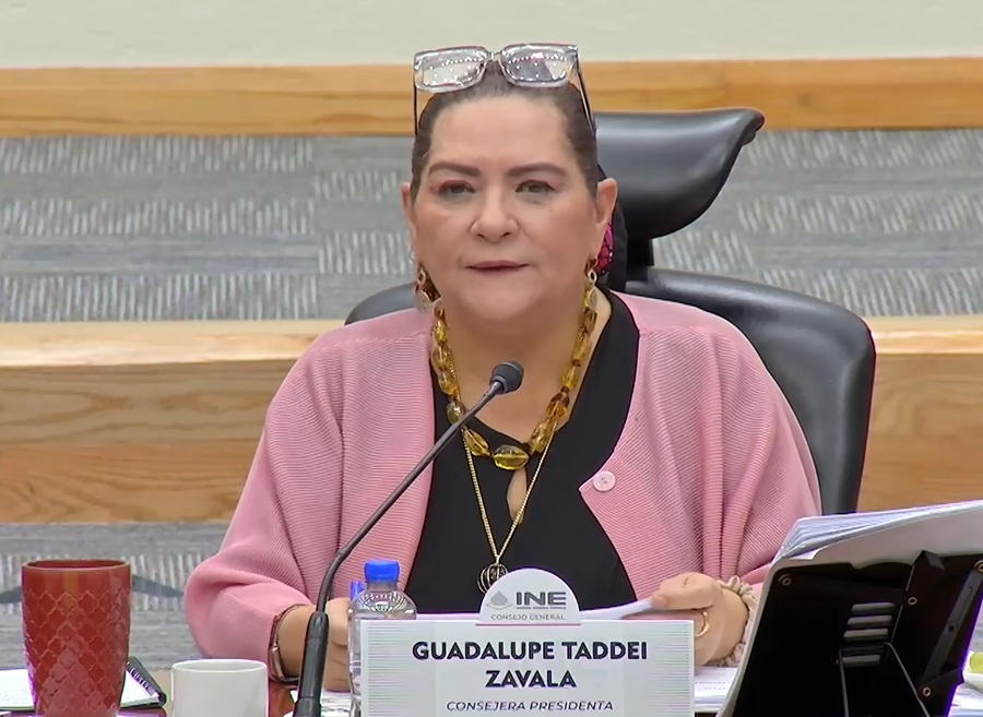 guadalupe taddei ine