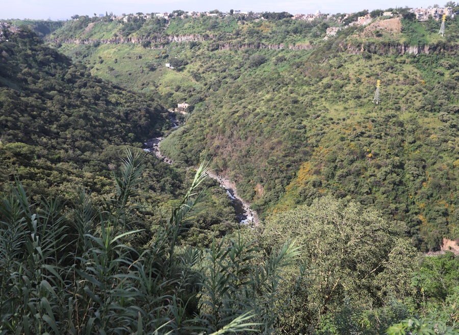 huentitán
